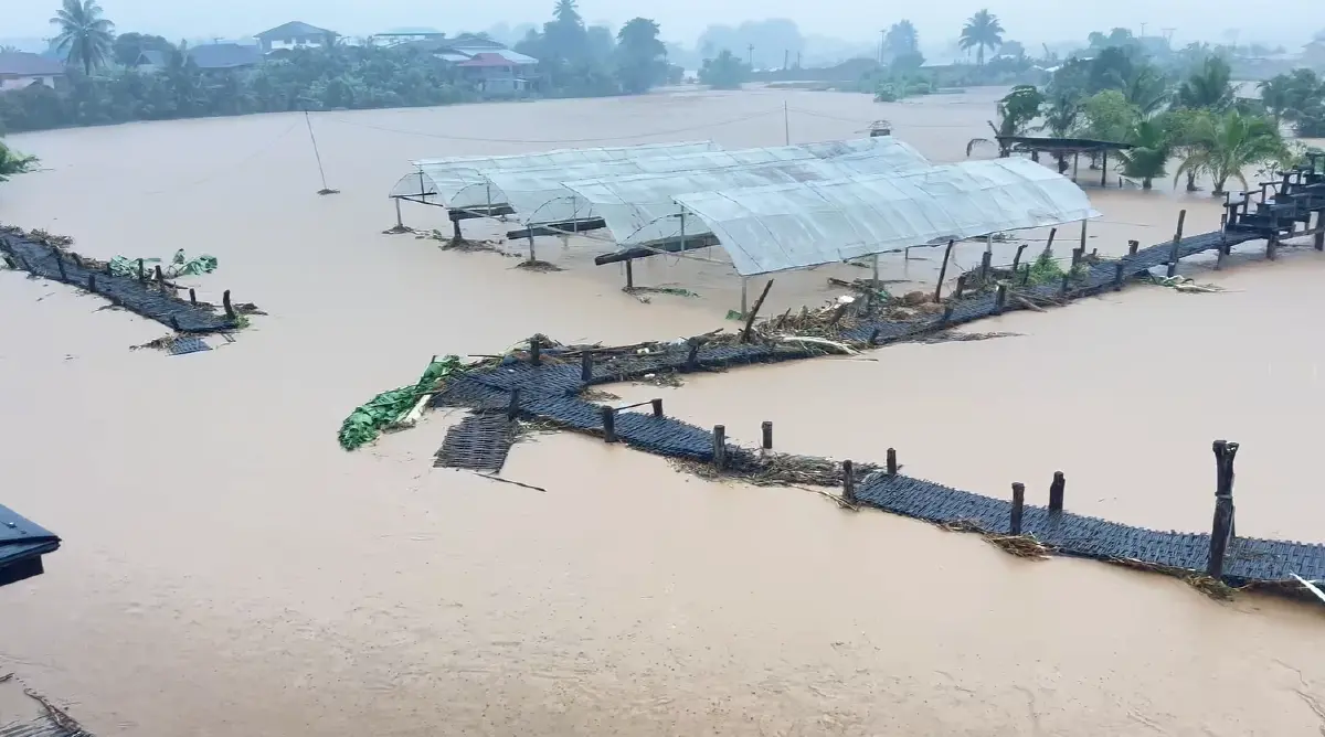 เทียบชัด น้ำท่วมน่านล่าสุด ทุ่งนา-คาเฟ่ดัง หลังวัดศรีมงคล เสียหายหนัก