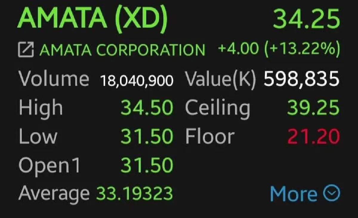 AMATA พุ่งแรง 13.22% รับแผน PDP ชัดปลาย ก.ย.  ปลดล็อก Data Center หนุนโอนที่ดินครึ่งปีหลัง