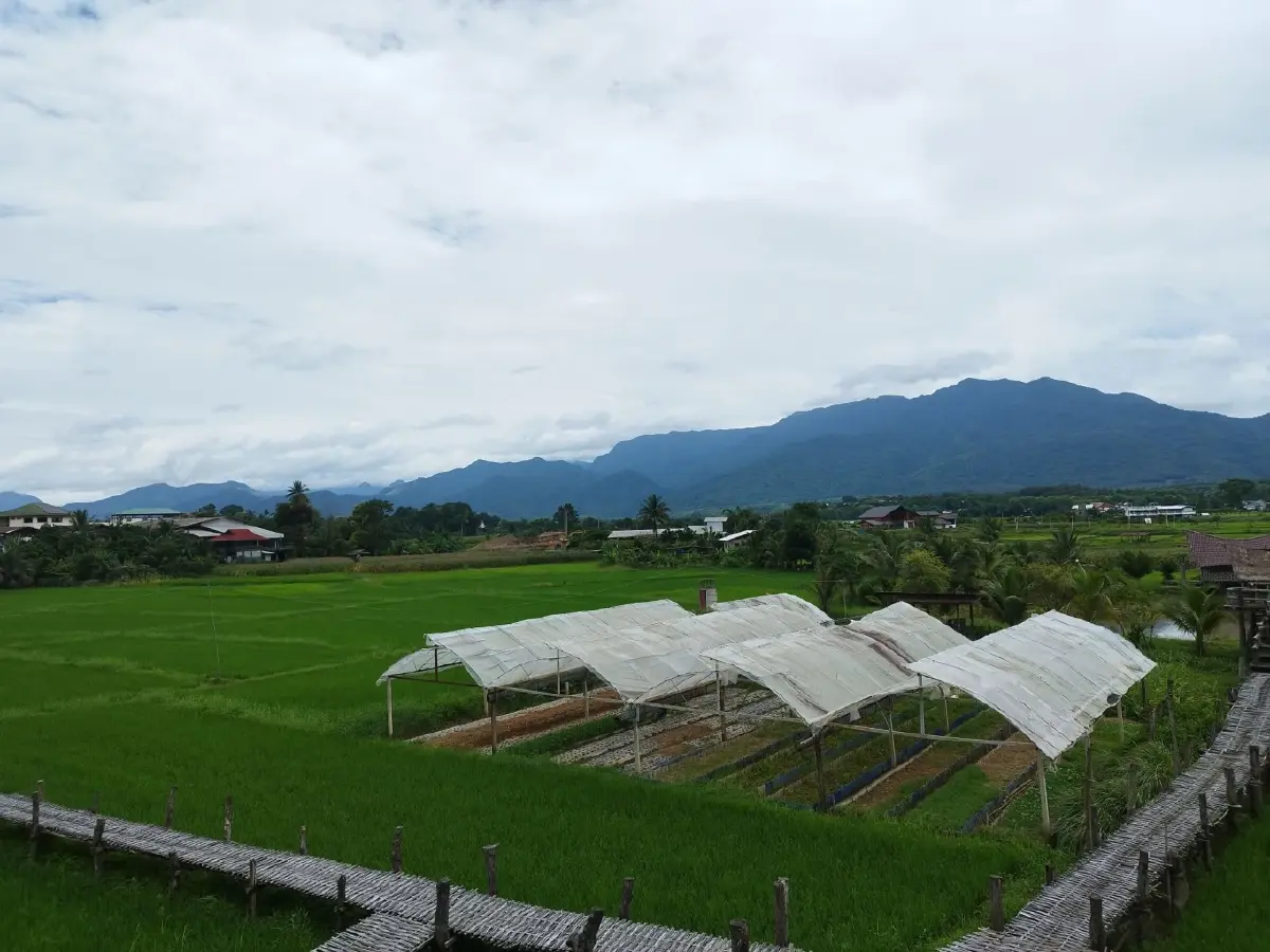 เทียบชัด น้ำท่วมน่านล่าสุด ทุ่งนา-คาเฟ่ดัง หลังวัดศรีมงคล เสียหายหนัก