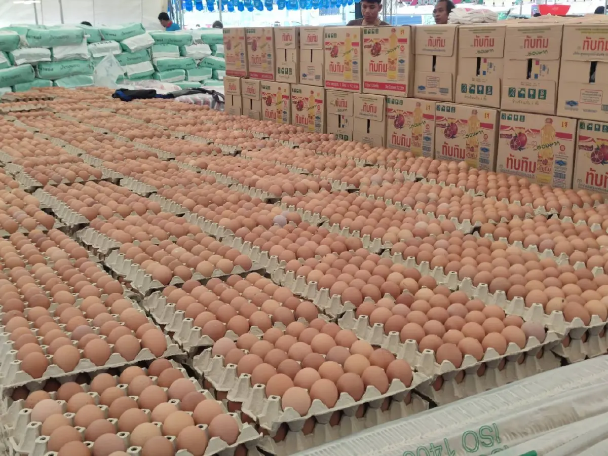 “พาณิชย์” เตรียมเปิดจุดขาย “ไข่ไก่ไทยช่วยไทย” ราคาประหยัดทั่วประเทศ 3.42 ล้านฟอง