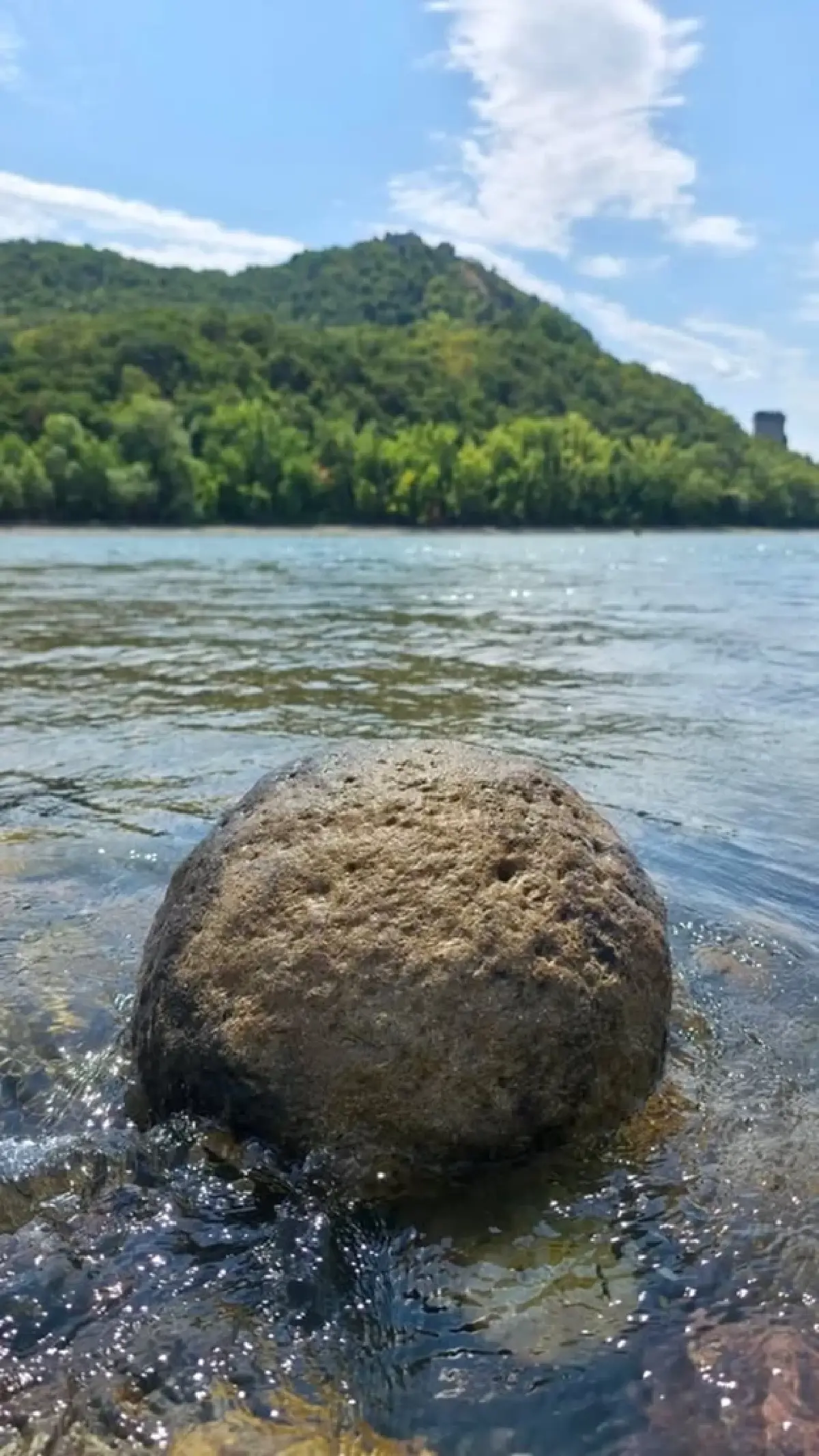 ‘แม่น้ำดานูบ’ แห้งขอด พบ ‘ซากแมมมอธ’ ยันเรือรบ ปิดโรงไฟฟ้านิวเคลียร์ ขาดน้ำหล่อเย็น