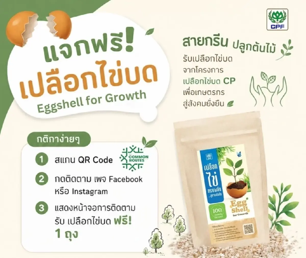 ซีพีเอฟ ชู ‘Every Egg Matters’ ชวนเลือกไข่ไก่อย่างยั่งยืนในงาน SDGs