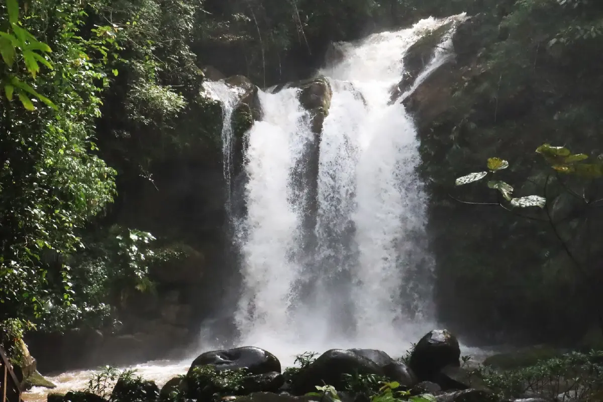 หยุดเวลาอยู่กับธรรมชาติ ที่ ลักชัวรี ซาฟารี แกลมปิ้ง 'Visama Explorer Nan'