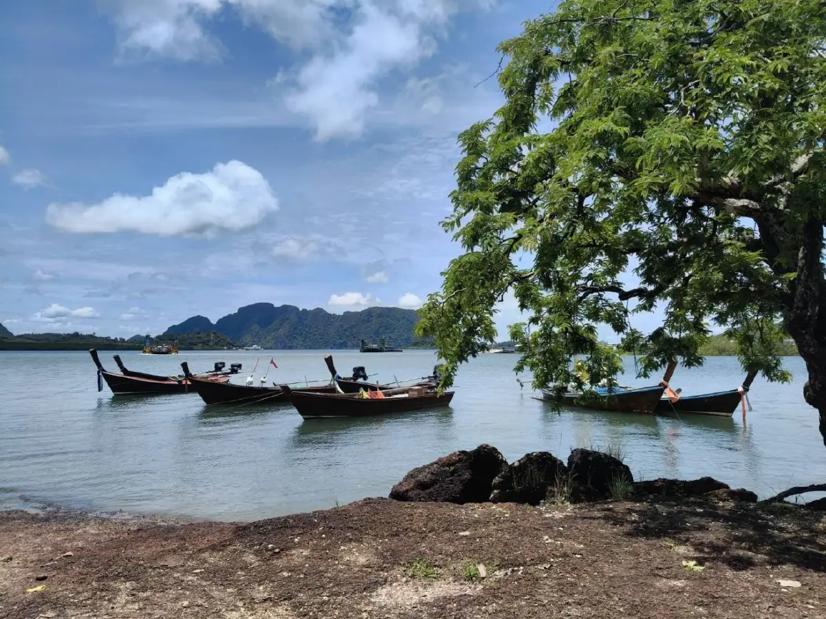 ลงเสาเข็มปลาย ส.ค. 69 สองสะพาน ทะเลสาบสงขลา-เกาะลันตา หลังเวิลด์แบงก์ให้ 4,645 ล้านบาท EIA ผ่านฉลุยไม่กระทบธรรมชาติ