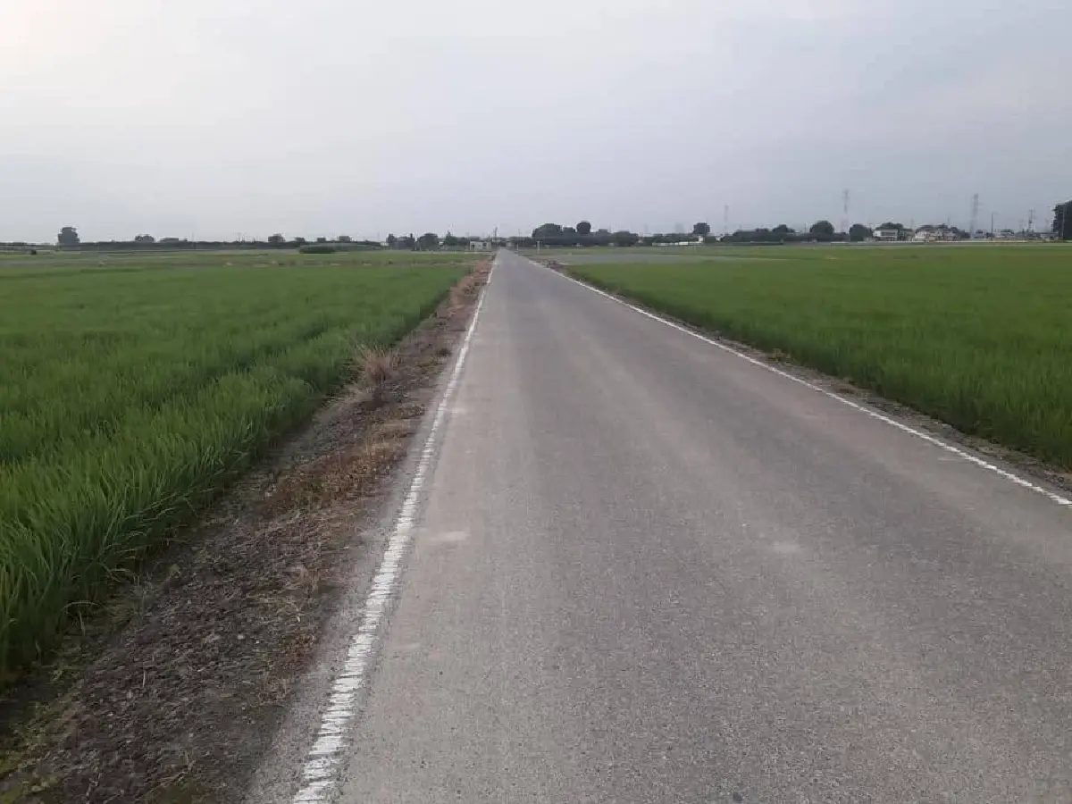 ยุวเกษตร ฝึกงานญี่ปุ่น 11 เดือน คว้าระบบจัดการยกระดับสวน