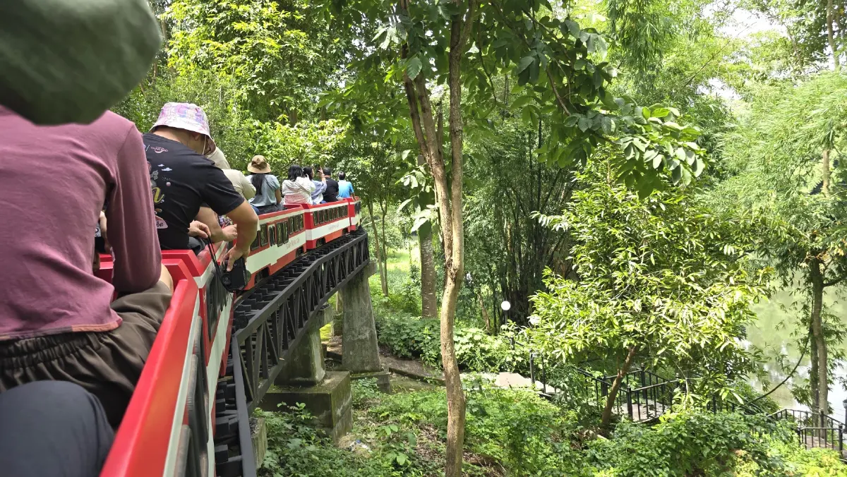 ชวนเที่ยวสวนสัตว์เปิด 'ซาฟารี ปาร์ค' ตะลุยแดนยีราฟ นั่งรถไฟจิ๋วข้ามแม่น้ำแคว กาญจนบุรี
