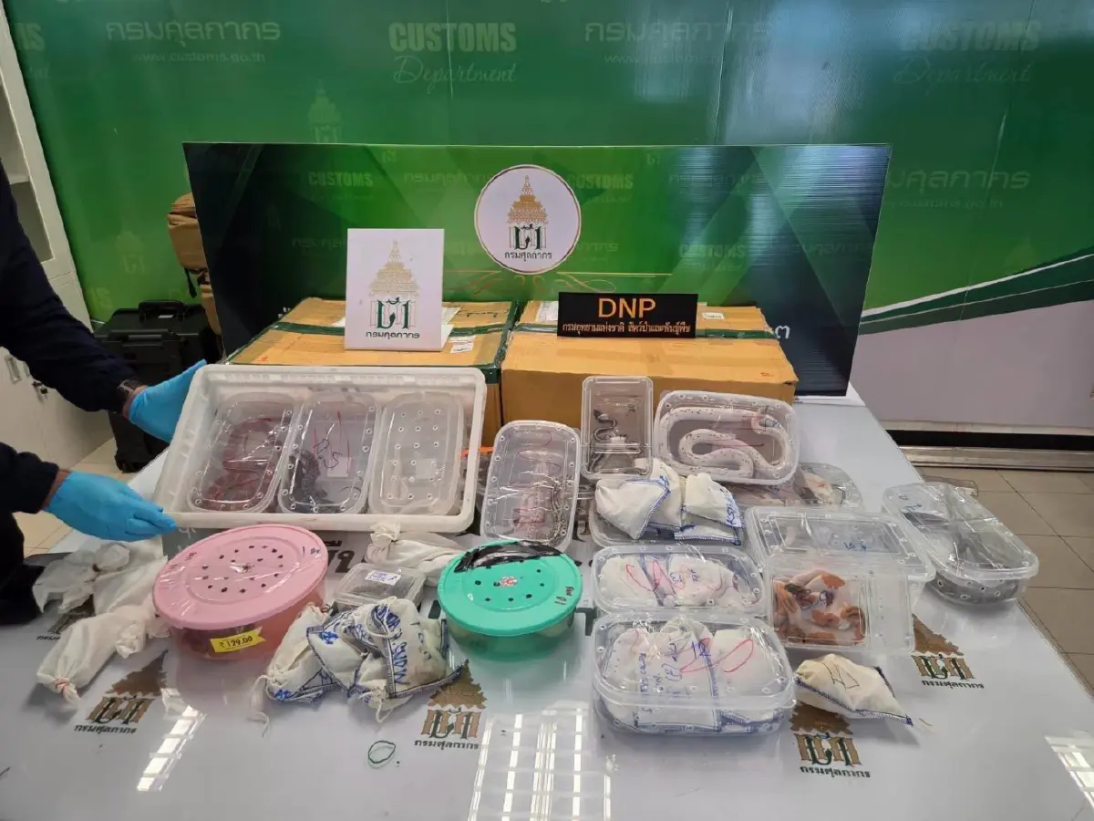 ด่านตรวจสัตว์ป่าสุวรรณภูมิ สกัดพัสดุซุก สัตว์เลื้อยคลาน กว่า 120 ตัว ส่งฟิลิปปินส์