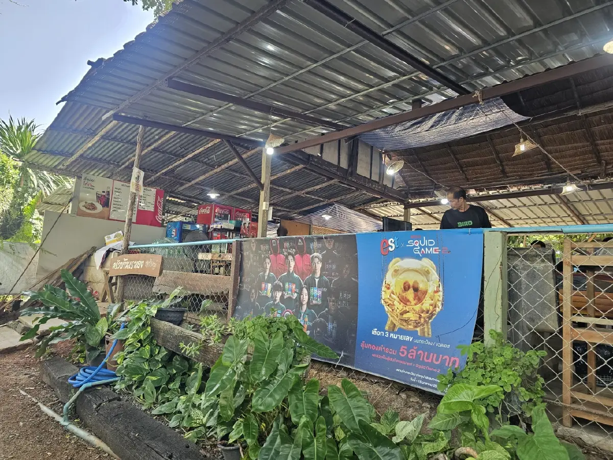 ‘ครัวบ้านเราเอง เขาใหญ่’ อาหารไทย-อีสาน รสมือแม่ แซ่บหลาย