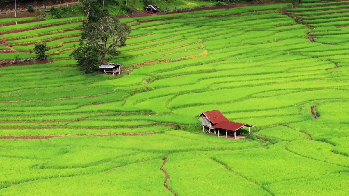 หยุดเวลาอยู่กับธรรมชาติ ที่ ลักชัวรี ซาฟารี แกลมปิ้ง 'Visama Explorer Nan'