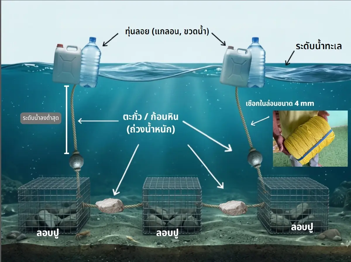ประกาศ 12 พื้นที่เสี่ยง ลุย 'SAVE OUR DUGONG' ลดพะยูนตายเป็นศูนย์