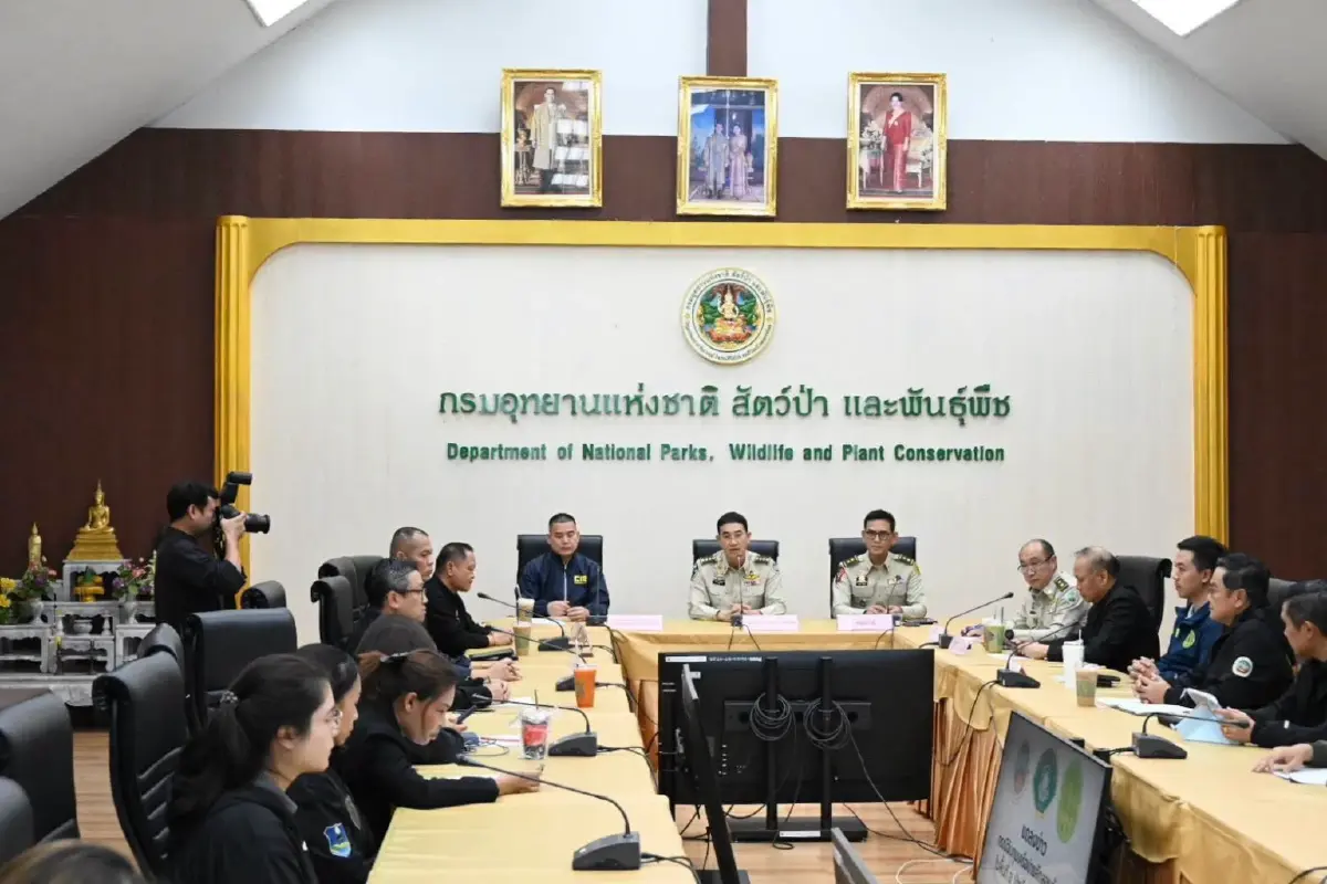 ขบวนการลักลอบตัดไม้ประดู่ป่าสงวนฯ อุตรดิตถ์ โยงนายทุนต่างชาติ