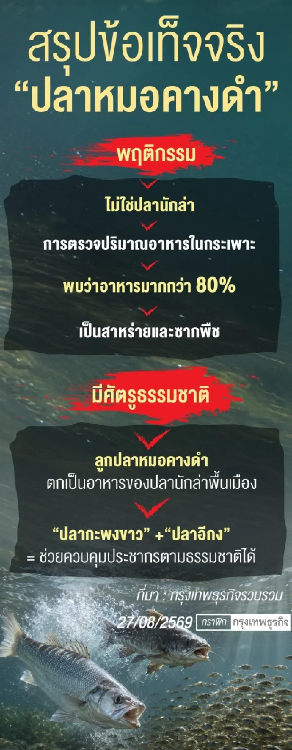 ปลาหมอคางดำไม่ใช่เอเลี่ยน   ความเข้าใจใหม่บนหลักฐานวิทยาศาสตร์