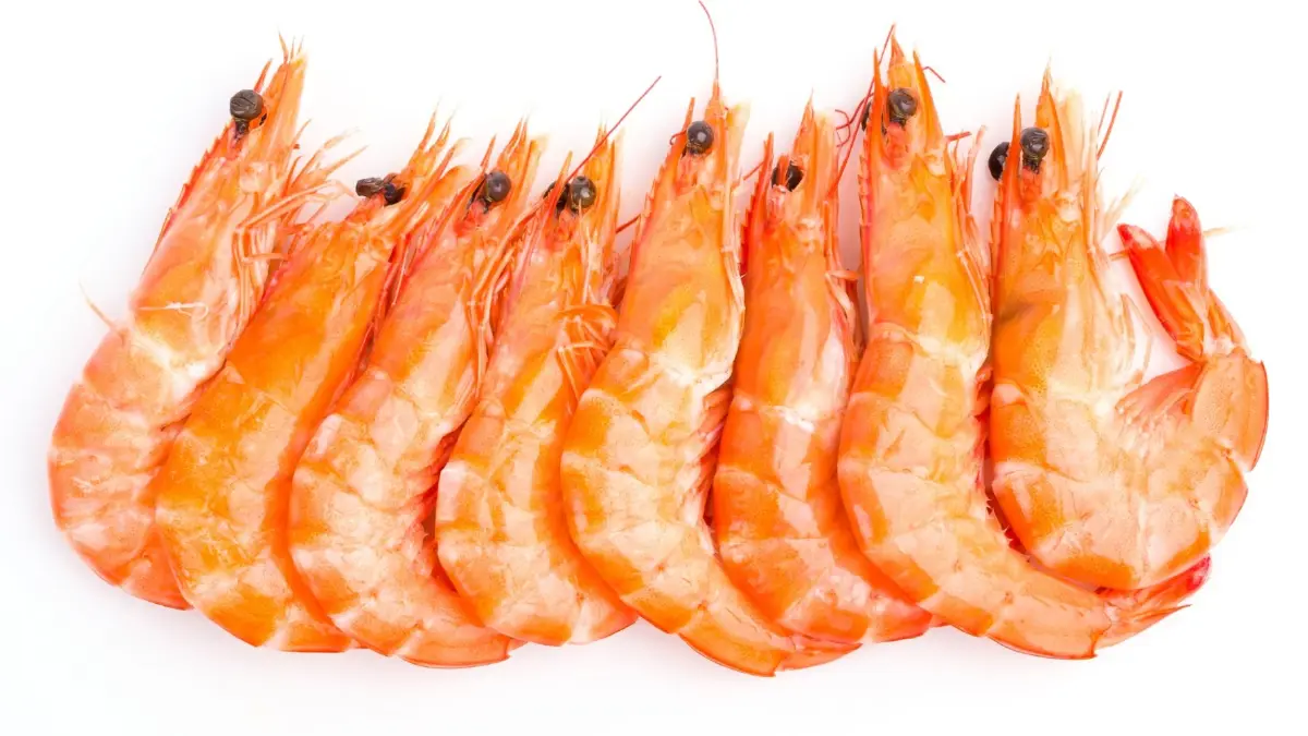 กุ้งไทยปีนี้ทรงตัว 2.5 แสนตัน โรคระบาดพ่นพิษ วอนรัฐช่วยด่วน