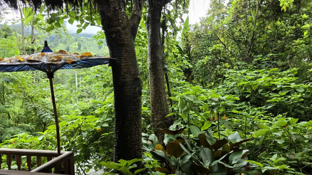 หยุดเวลาอยู่กับธรรมชาติ ที่ ลักชัวรี ซาฟารี แกลมปิ้ง 'Visama Explorer Nan'