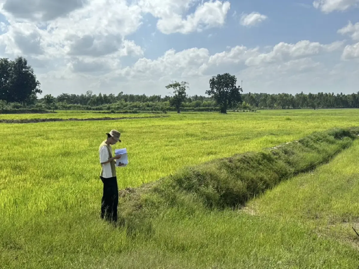 สศก. ลุย 'Single Map'ใช้ดาวเทียมจัดทำข้อมูลพืชเศรษฐกิจ