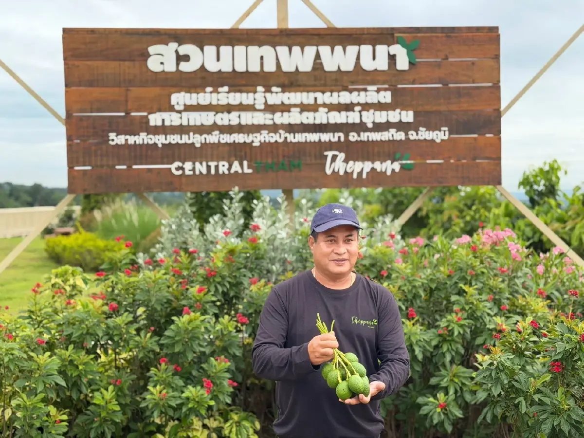 บ้านเทพพนา ชัยภูมิ จากดินแล้ง สู่แหล่งปลูก 'อะโวคาโด' ใช้ไบโอชา อุ้มน้ำใต้ดิน