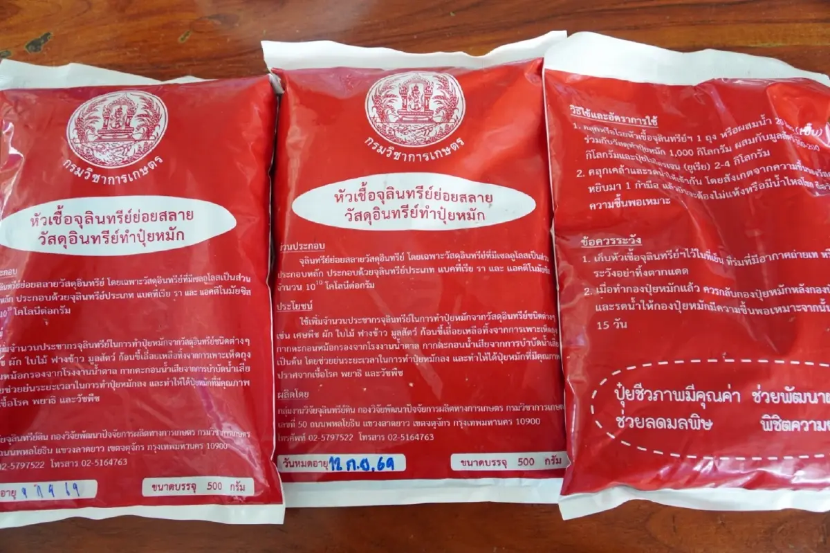 กรมวิชาการเกษตรชู 'จุลินทรีย์ย่อยตอซัง' ทางเลือกหยุดเผา ลด PM2.5 เพิ่มผลผลิต-ฟื้นดิน