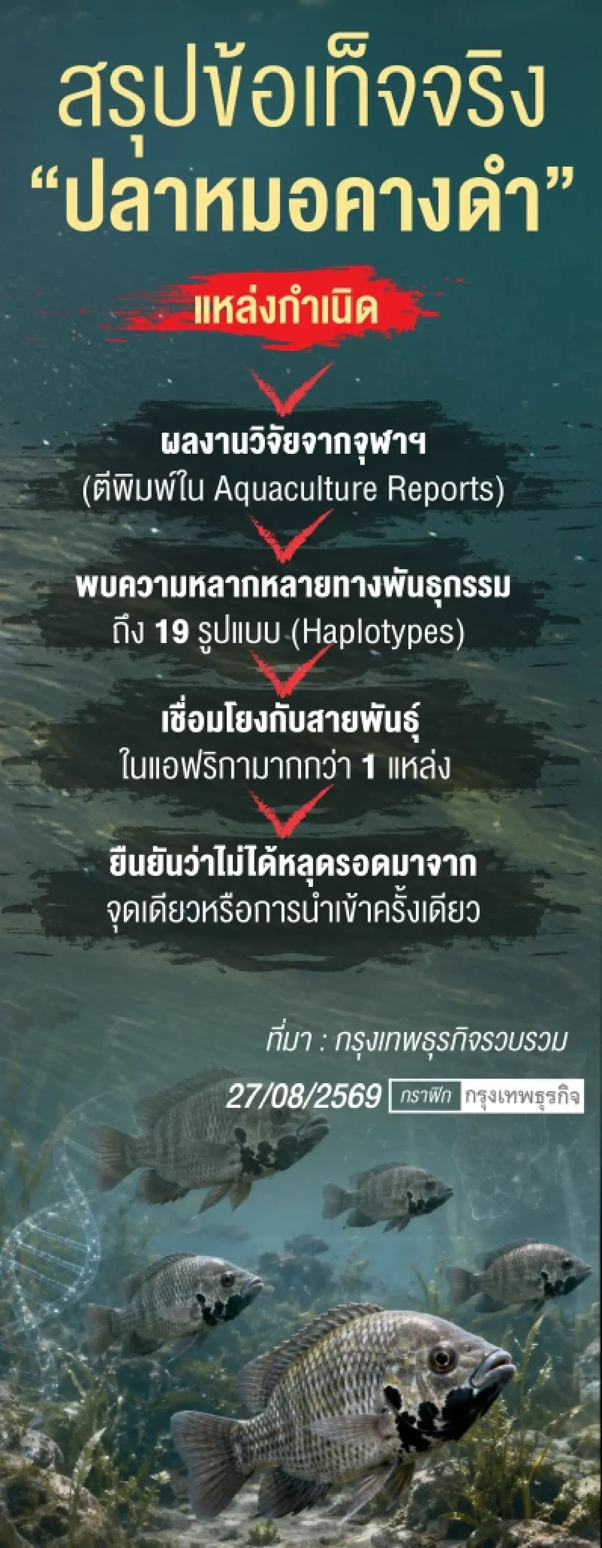 ปลาหมอคางดำไม่ใช่เอเลี่ยน   ความเข้าใจใหม่บนหลักฐานวิทยาศาสตร์