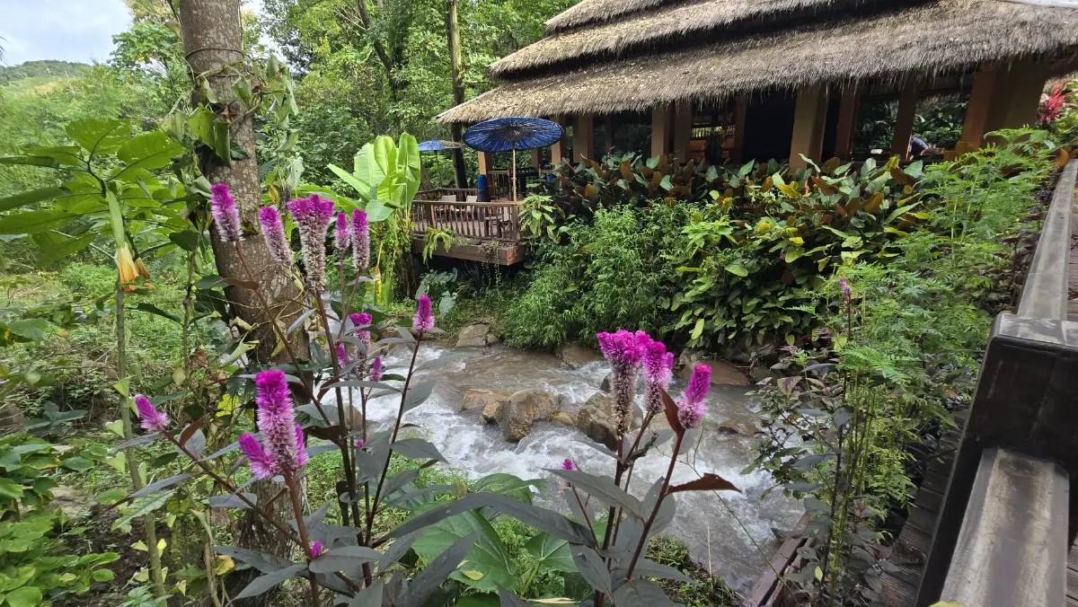หยุดเวลาอยู่กับธรรมชาติ ที่ ลักชัวรี ซาฟารี แกลมปิ้ง 'Visama Explorer Nan'