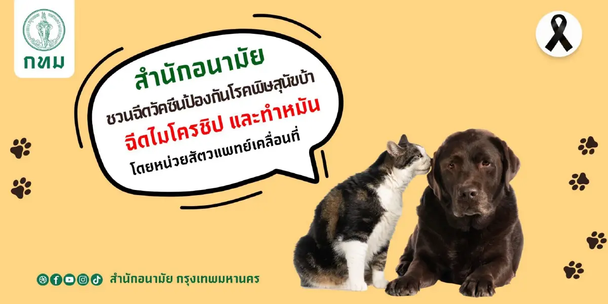 5 เขต กทม. จัดหน่วยสัตวแพทย์เคลื่อนที่ ทำหมันฟรี ฉีดวัคซีน ฝังไมโครชิป