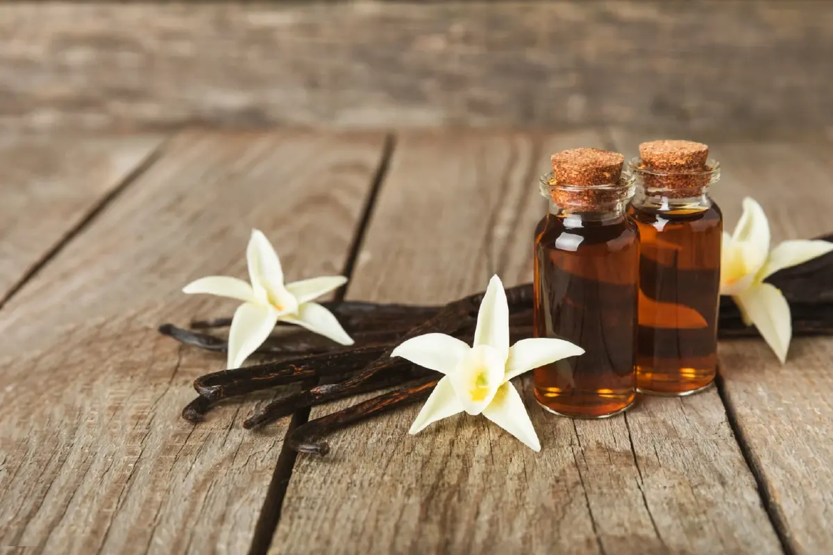 สนค. เปิดเทรนด์โลก “Wellness & Longevity” ดันสินค้าเกษตรไทยสู่นวัตกรรมการแพทย์