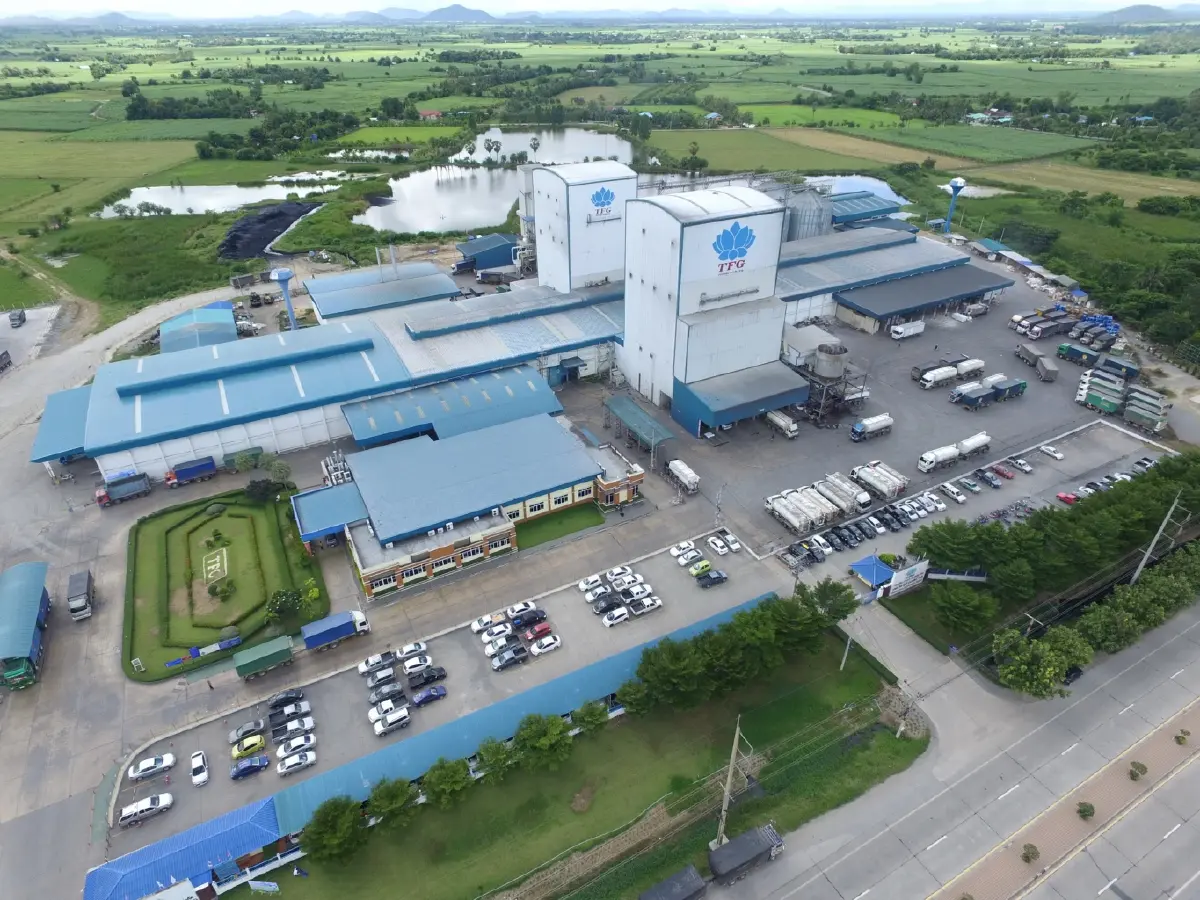 TFG จากหุ้นวัฏจักร...สู่ Growth Stock
