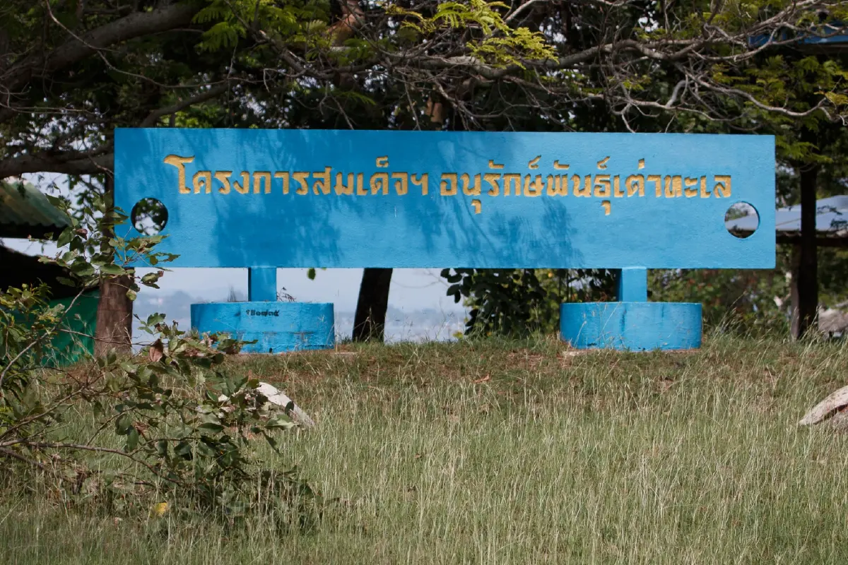 4 เส้นทางตามรอยพระบารมี 'แม่ของแผ่นดิน' สมเด็จพระบรมราชชนนีพันปีหลวง