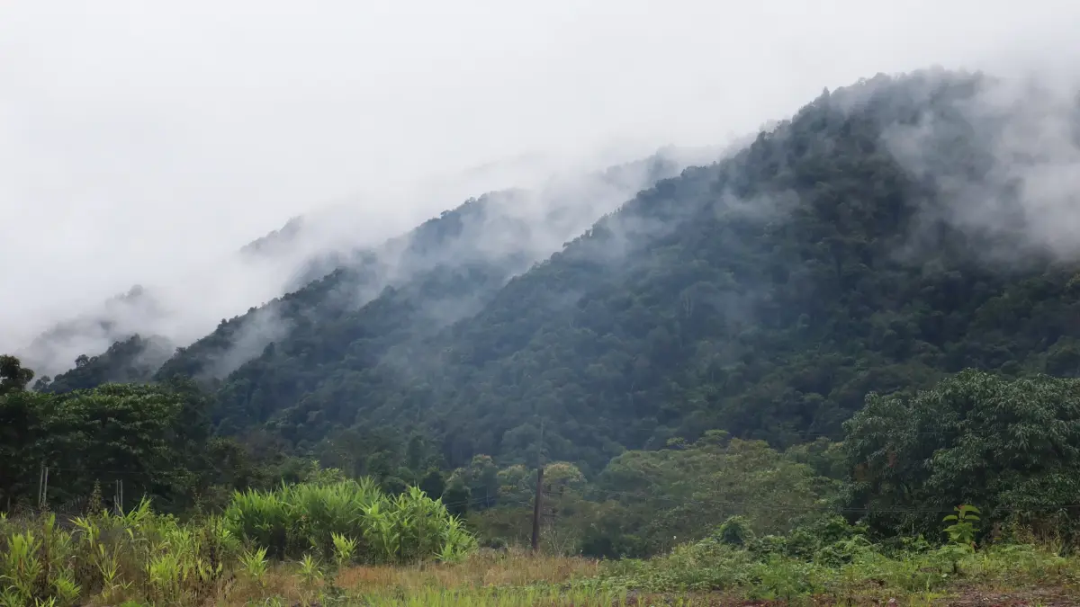 หยุดเวลาอยู่กับธรรมชาติ ที่ ลักชัวรี ซาฟารี แกลมปิ้ง 'Visama Explorer Nan'