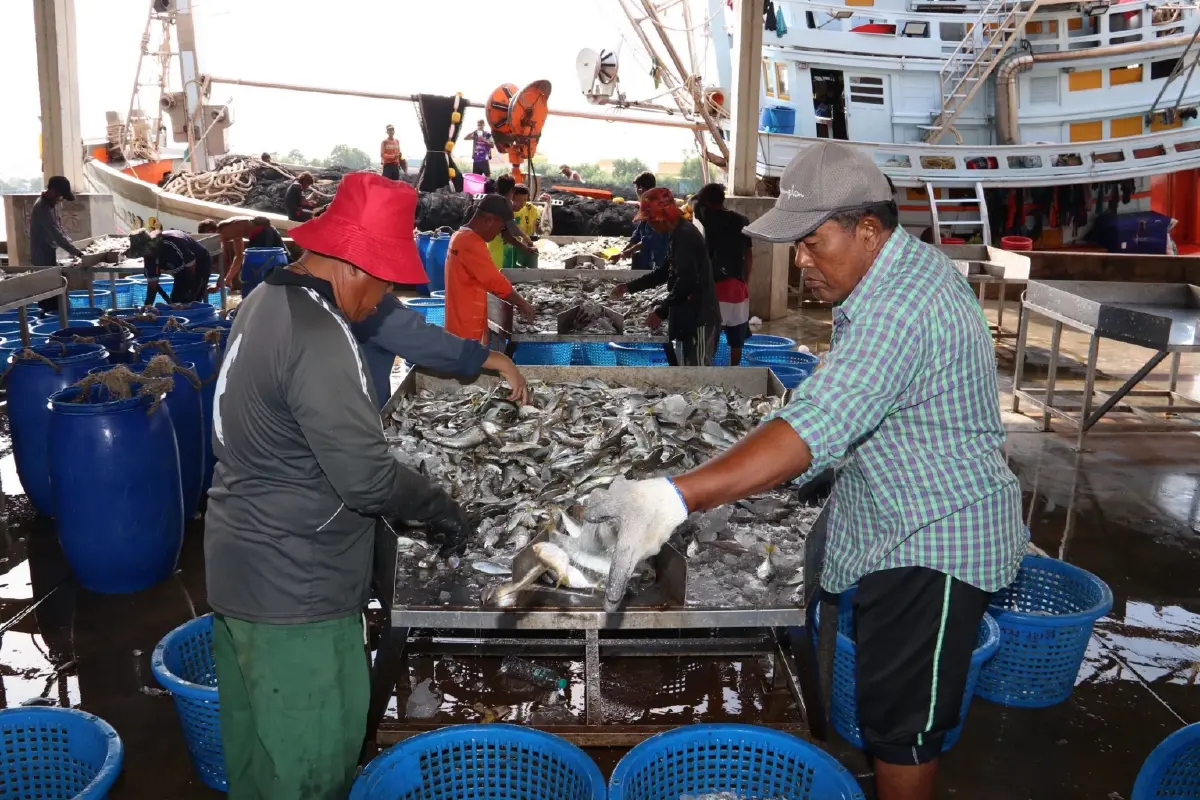 กรมประมงยกระดับป้องกัน IUU ชูนวัตกรรมยั่งยืนดันส่งออก