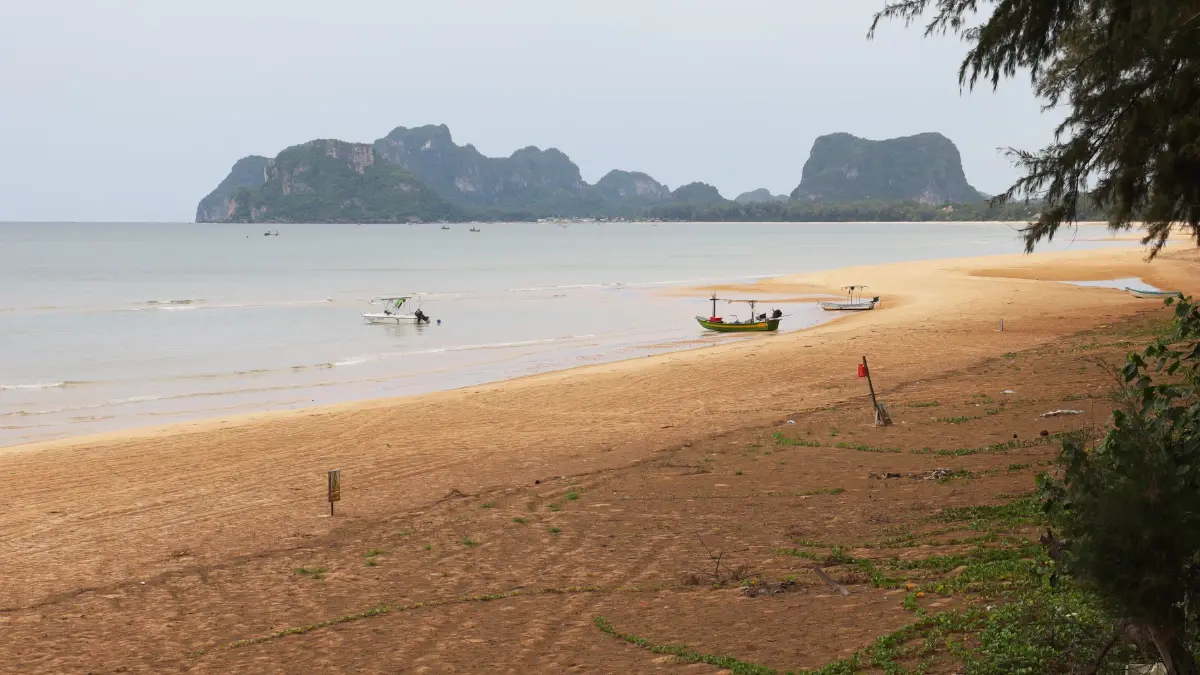 ‘กาแฟขี้ชะมด’ เข้มข้น นุ่มนวล ที่โครงการพัฒนาส่วนพระองค์ จ.ชุมพร