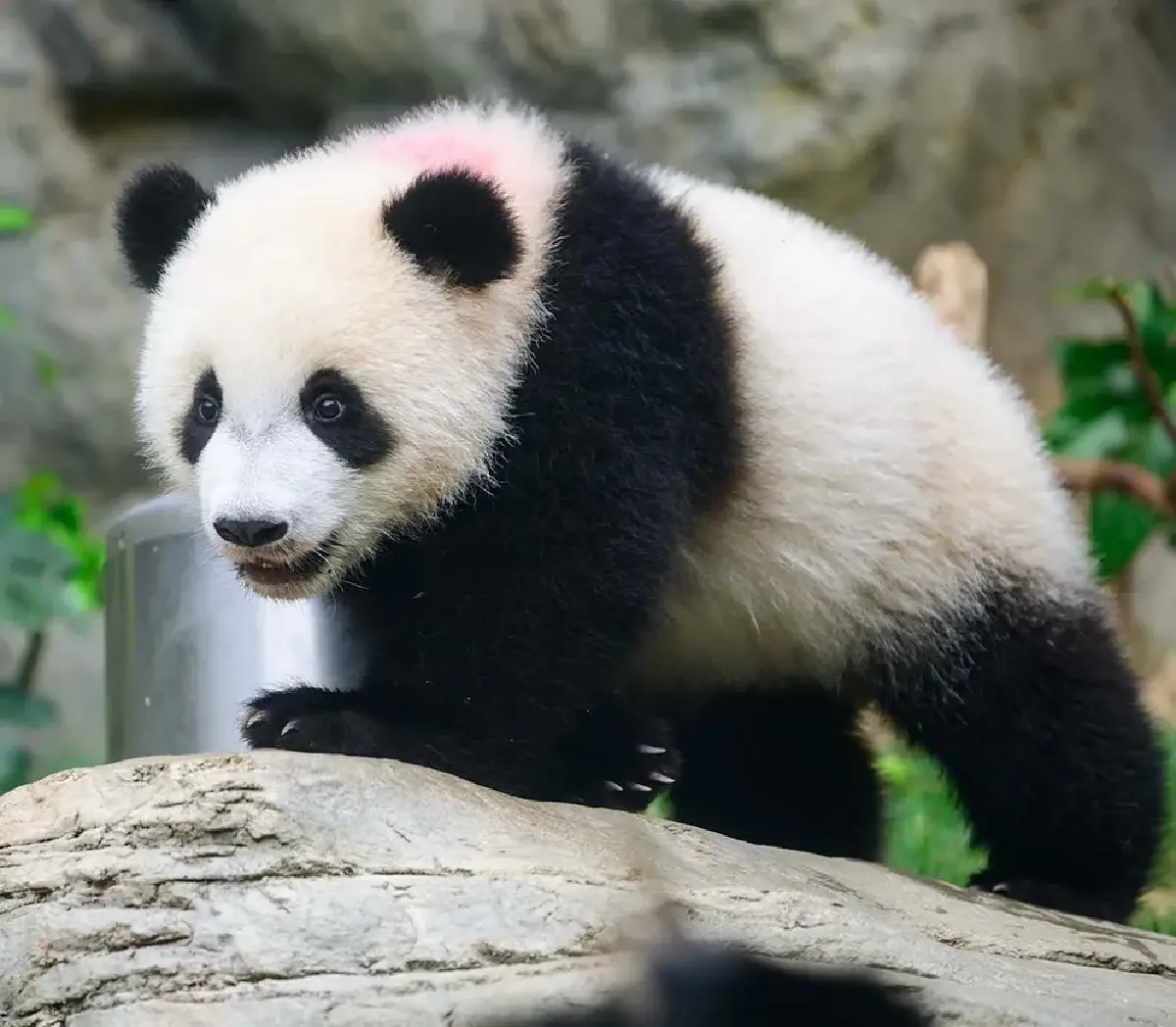 'Only in Hong Kong' สัมผัสฮ่องกงหลากมิติ เที่ยวได้เช้าจรดค่ำ