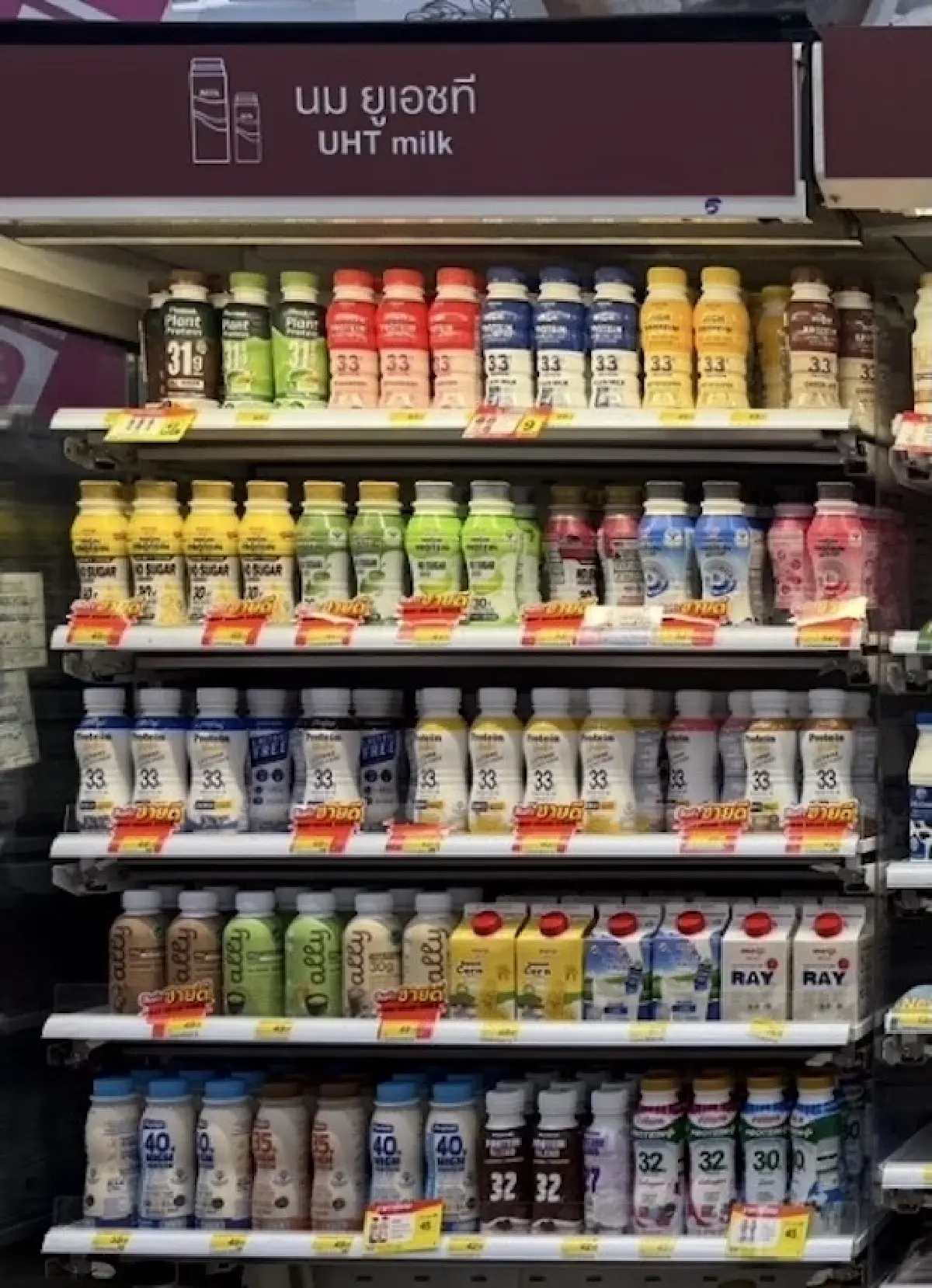 ‘ดัชมิลล์’ เร่งปั้น ‘โปรเท็น’ ขึ้นเบอร์ 2  รับตลาดนมโปรตีนโตแรง
