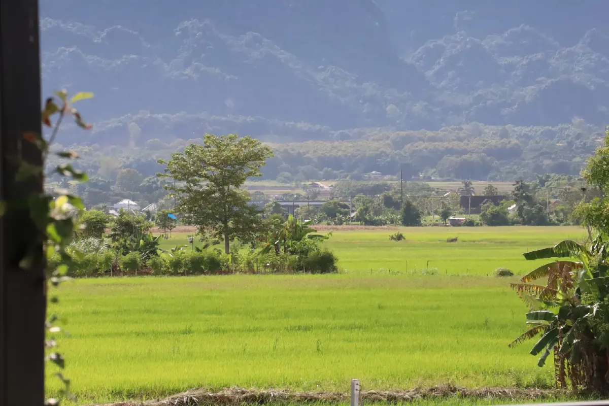 'เชียงราย' ต้นแบบเมืองอาหารปลอดภัย มุ่งสู่เมืองแห่งความสุข 3 มิติ