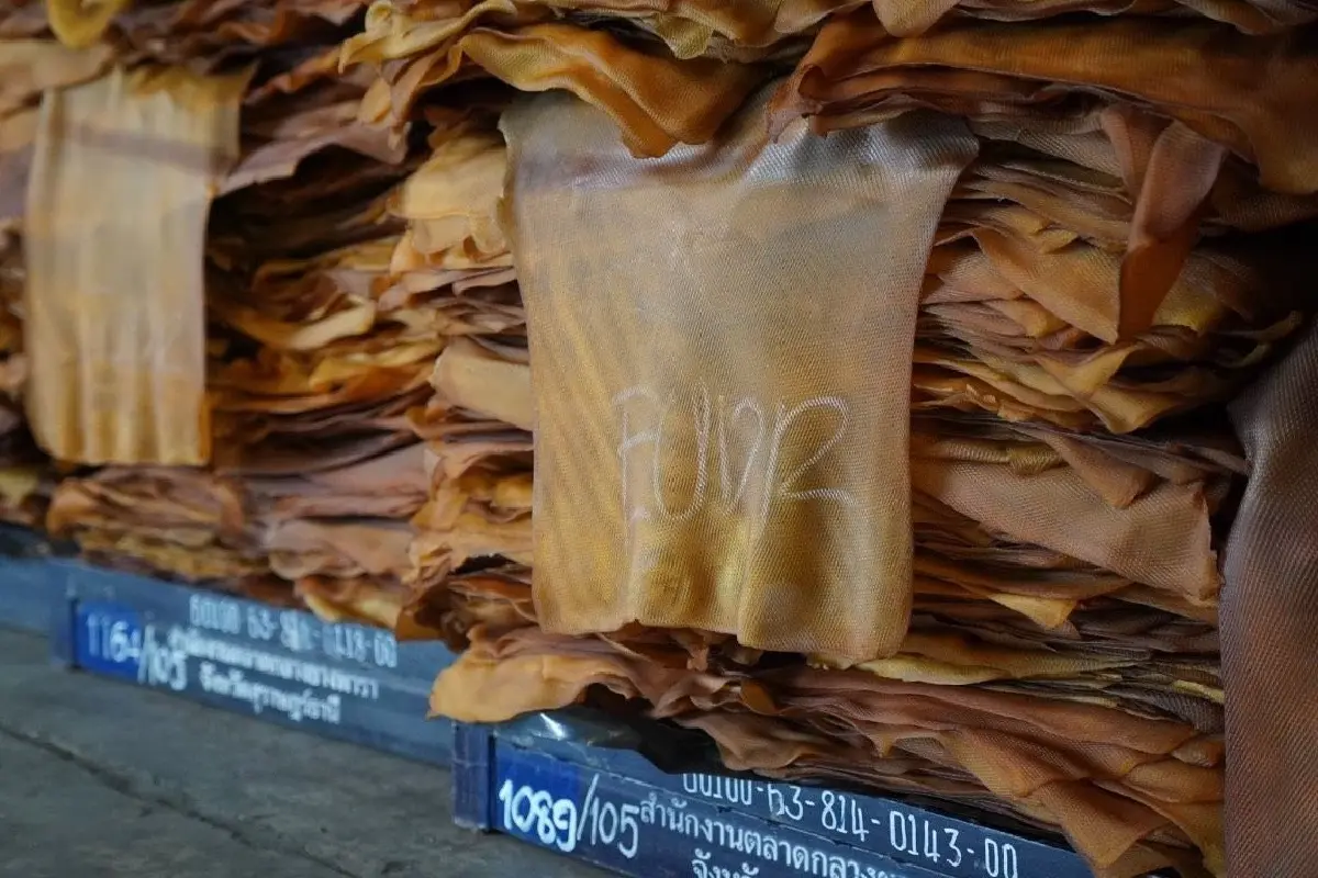 Thai Traceability ยกระดับยางไทย สู่ห่วงโซ่อุปทานโปร่งใสและแข่งขันได้ในตลาดโลก