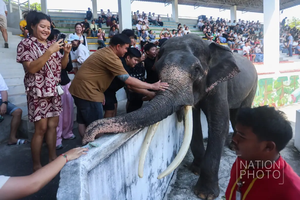 คลิปไวรัลจุดกระแส นทท.แห่เที่ยว 'ฟาร์มจระเข้สมุทรปราการ' คึกคัก!