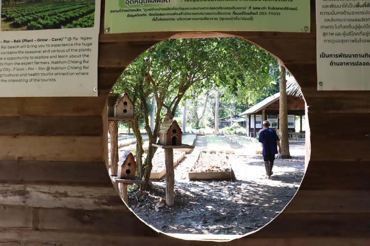'เชียงราย' ต้นแบบเมืองอาหารปลอดภัย มุ่งสู่เมืองแห่งความสุข 3 มิติ
