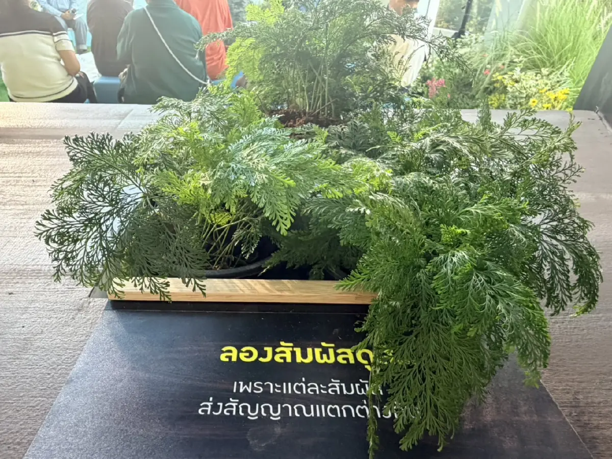 'Longevity' ไม่ใช่ 'Luxury' คนรวย เริ่มต้นที่ 'กินดี อยู่ดี นอนดี'