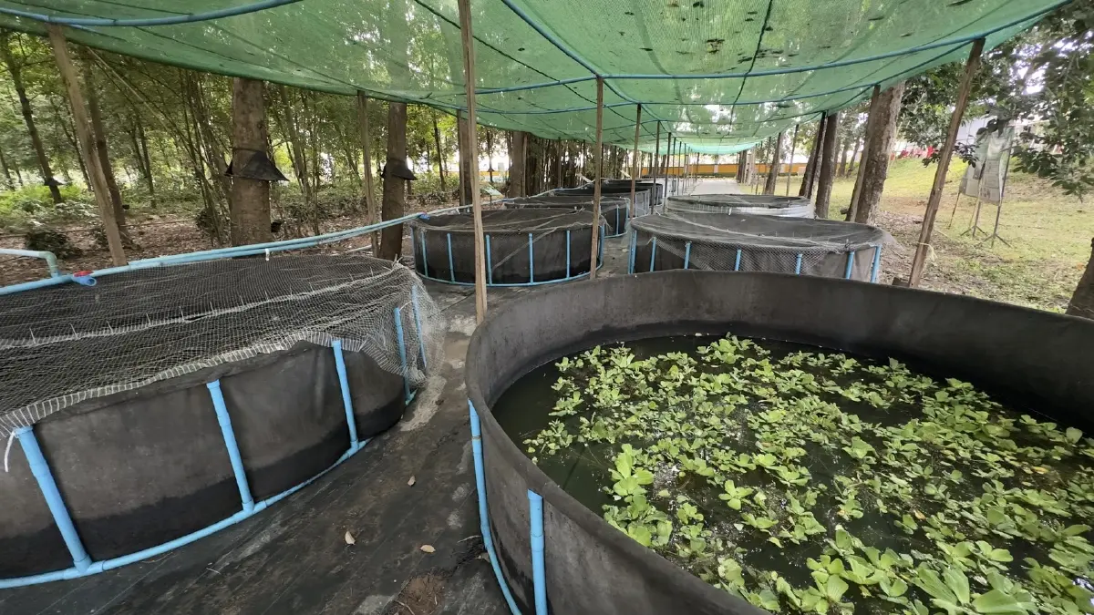 กยท.เดินหน้าสวนยาง 'อารยเกษตร' ตั้งเป้า 1 แสนไร่ปี 70 นำร่อง 33 แห่ง 10 จว.อีสานบน