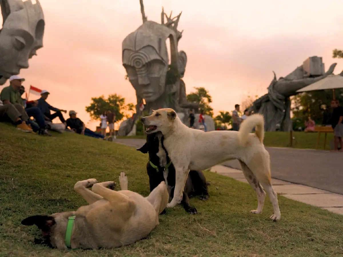 Nuanu Creative City : พิกัดฮีลใจสายศิลปะและครีเอทีฟแห่งบาหลี