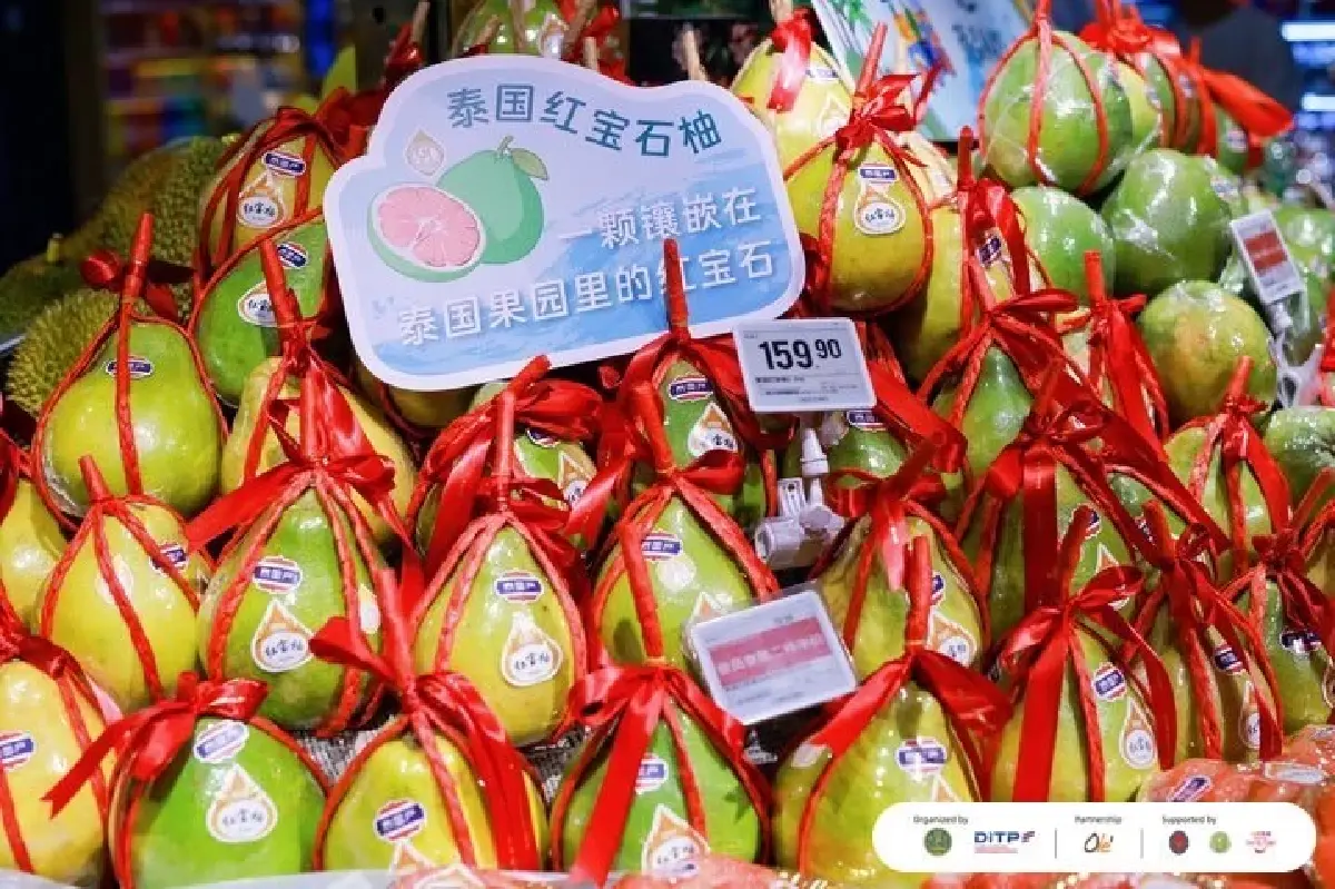 พาณิชย์ ชี้ตลาด Fresh Snacks จีนโตแรง โอกาสผู้ประกอบการไทย ดันสินค้าไทยสู่ Next Level