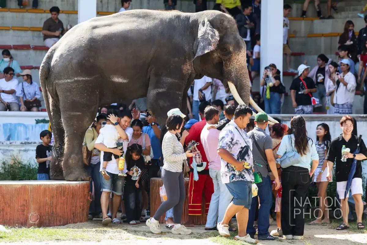 คลิปไวรัลจุดกระแส นทท.แห่เที่ยว 'ฟาร์มจระเข้สมุทรปราการ' คึกคัก!