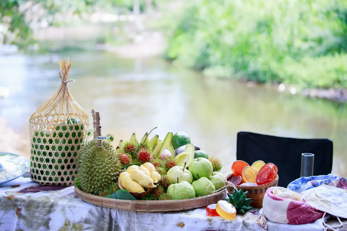 บ้านท่ามะปรางค์ – คลองเพล ดีท็อกซ์ปอด โอบกอดเขาใหญ่
