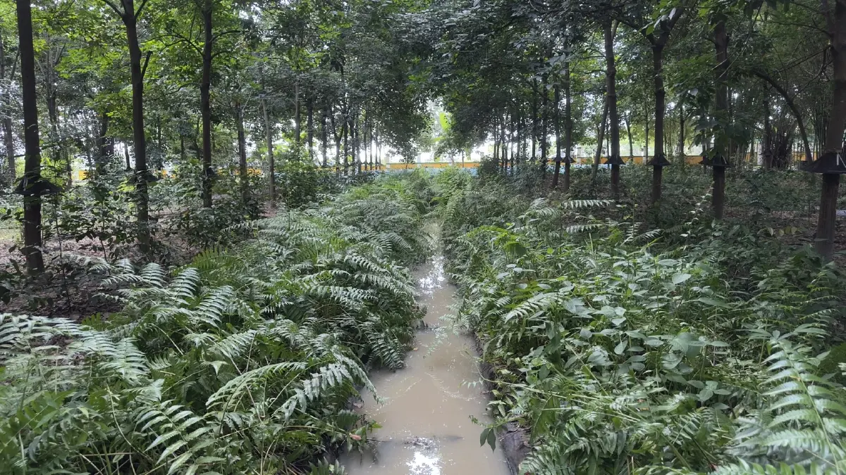 กยท.เดินหน้าสวนยาง 'อารยเกษตร' ตั้งเป้า 1 แสนไร่ปี 70 นำร่อง 33 แห่ง 10 จว.อีสานบน
