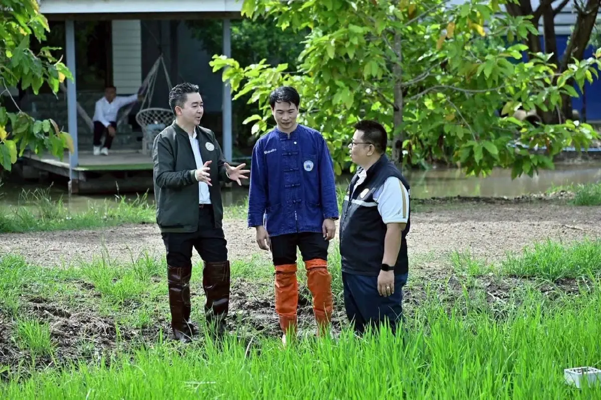 กรมการข้าวชู  ข้าวคาร์บอนต่ำ ปลดล็อก 2 เด้ง สร้างรายได้คาร์บอนเครดิต-ฉลากคาร์บอน