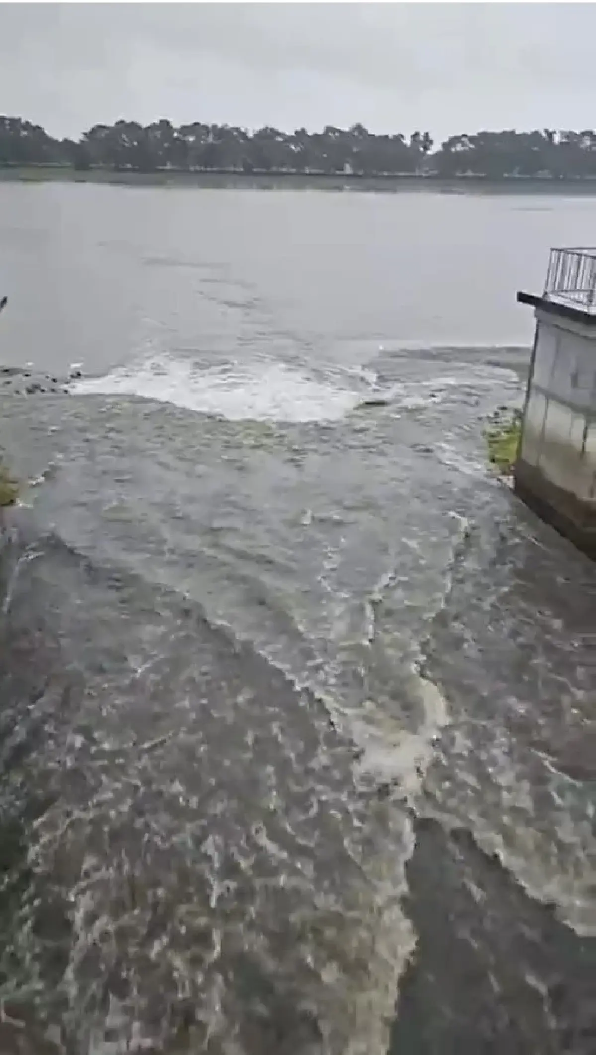 ฝนตกหนัก น้ำในคลองเต็มความจุ กทม. เร่งระบายน้ำ-ผันลงบึงหนองบอน