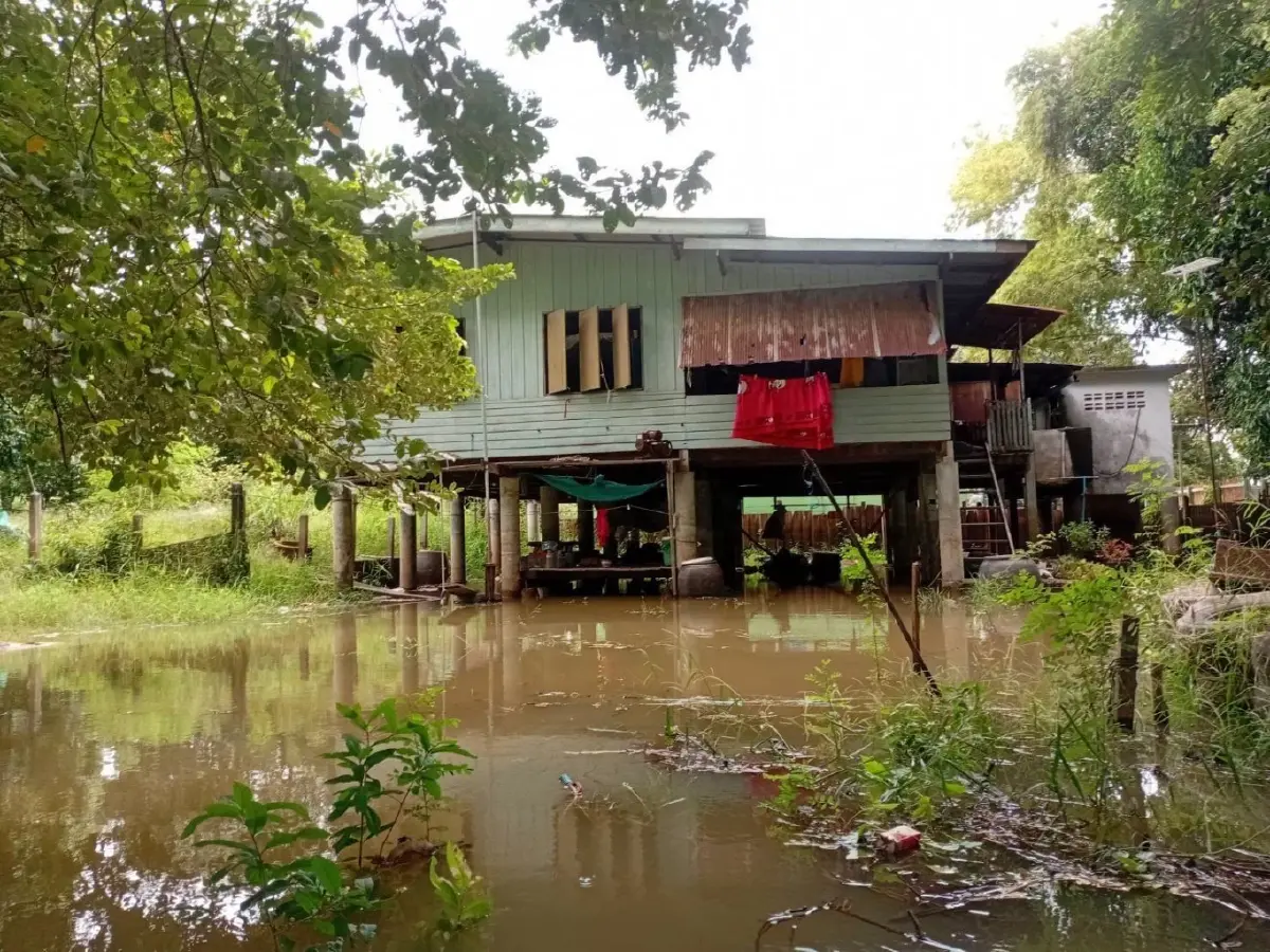 อยุธยาต้องรอด! 6 อำเภอจมหมื่นหลัง 'สส.ภูมิใจไทย' ลุยแจกโฟมสู้ภัย