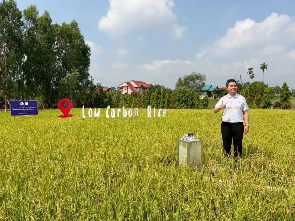 กรมการข้าวชู  ข้าวคาร์บอนต่ำ ปลดล็อก 2 เด้ง สร้างรายได้คาร์บอนเครดิต-ฉลากคาร์บอน