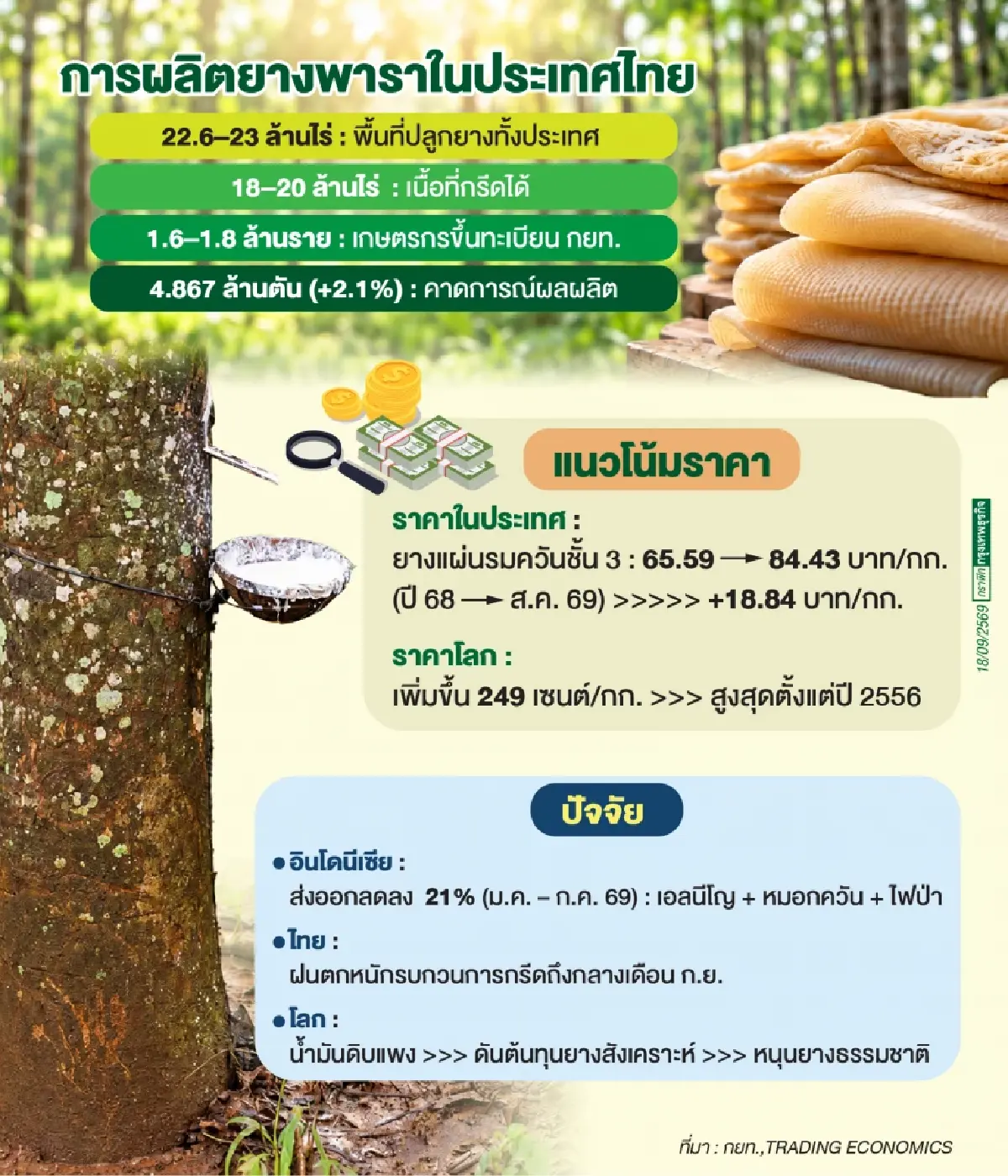 ราคายางพุ่งตามเทรนด์โลก ผลสภาพอากาศกดอุปทาน พลังงานดันอุปสงค์