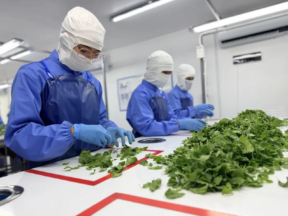 CPF เร่งเครื่อง ‘Partner to Grow’ ปี 4   ดัน SME ใช้ AI ลดต้นทุน เสริมแกร่งซัพพลายเชน