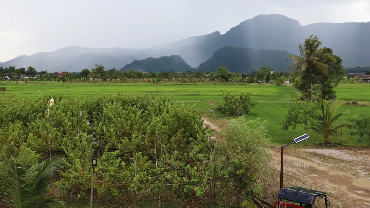 'เชียงราย' ต้นแบบเมืองอาหารปลอดภัย มุ่งสู่เมืองแห่งความสุข 3 มิติ